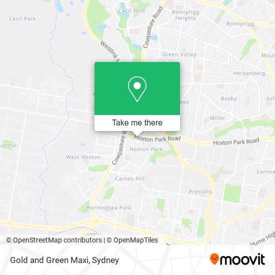 Gold and Green Maxi map