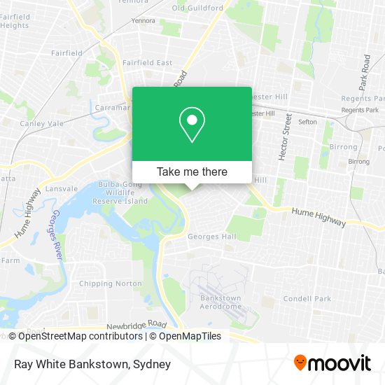 Mapa Ray White Bankstown