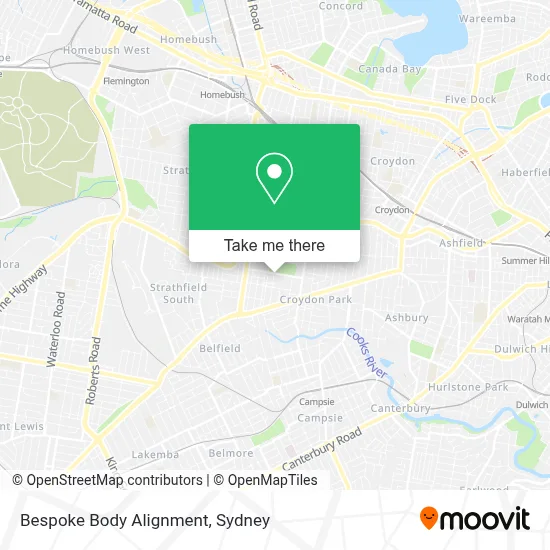 Bespoke Body Alignment map