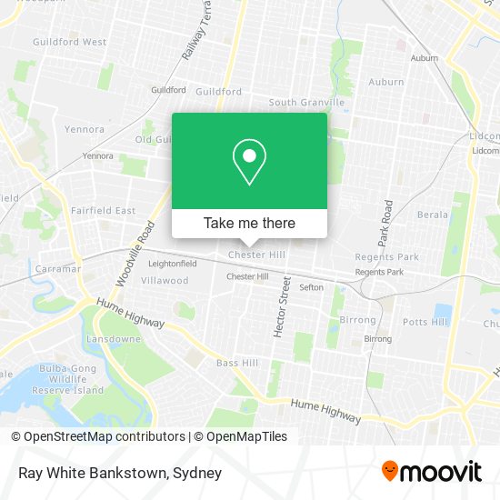 Ray White Bankstown map