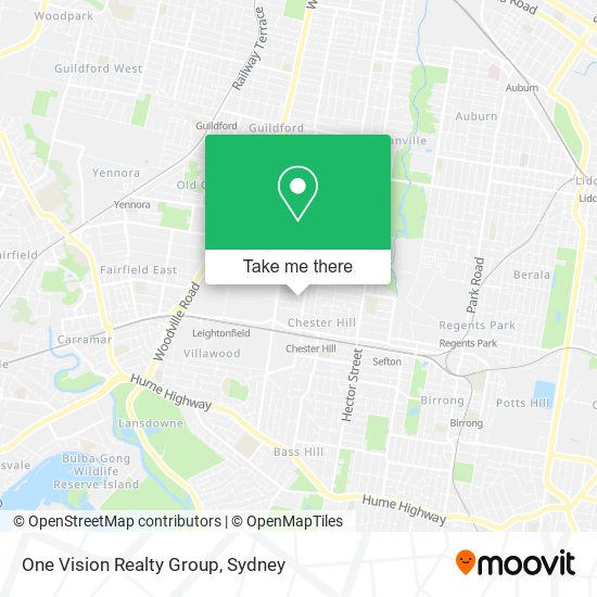 One Vision Realty Group map