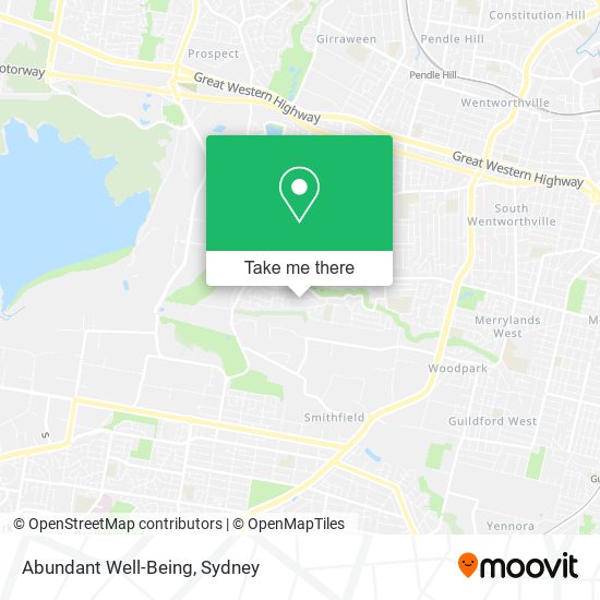 Abundant Well-Being map