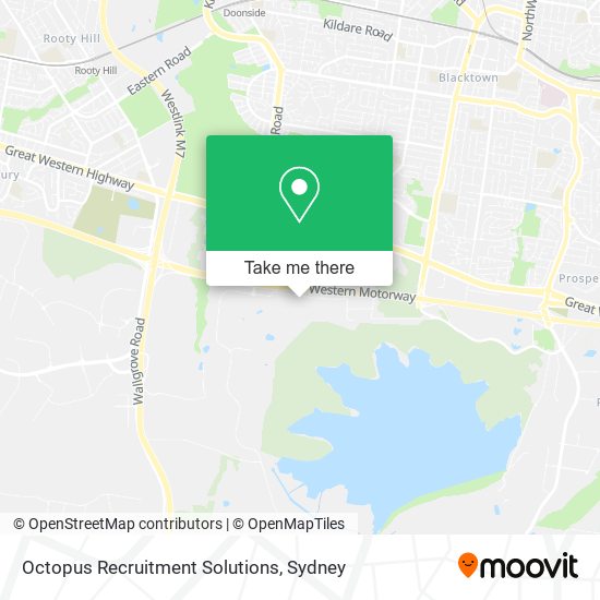 Octopus Recruitment Solutions map