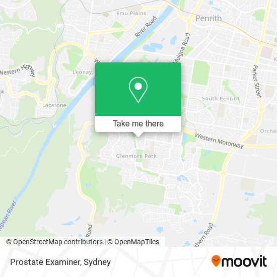 Prostate Examiner map