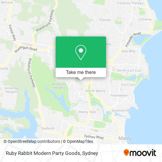 Ruby Rabbit Modern Party Goods map