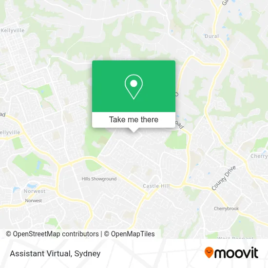 Mapa Assistant Virtual