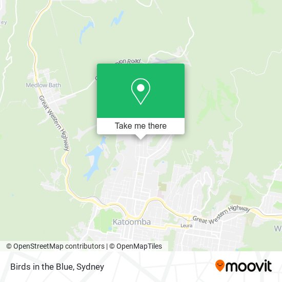 Birds in the Blue map
