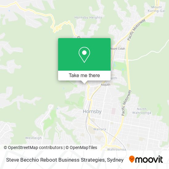 Steve Becchio Reboot Business Strategies map