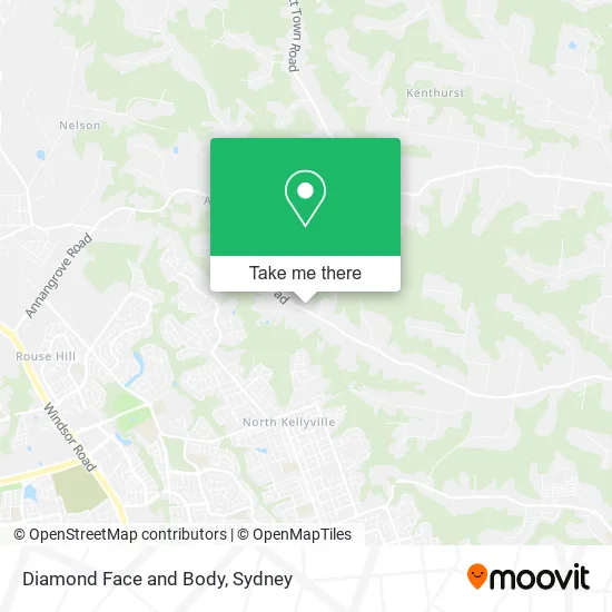 Diamond Face and Body map