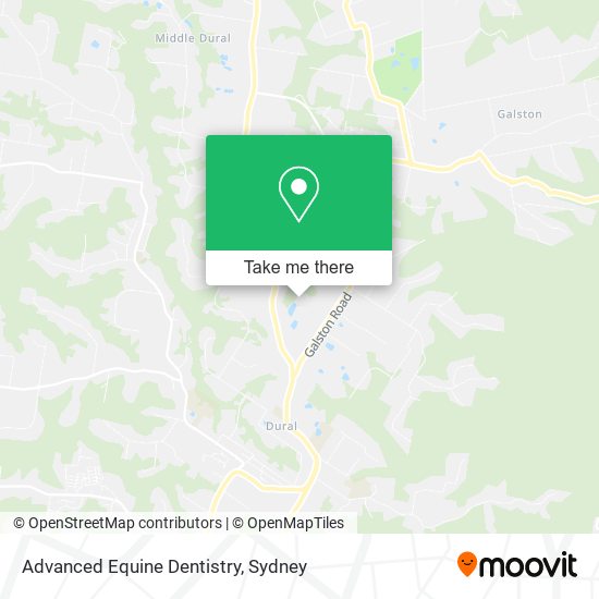 Mapa Advanced Equine Dentistry