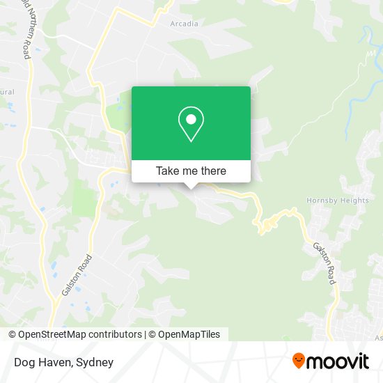 Dog Haven map