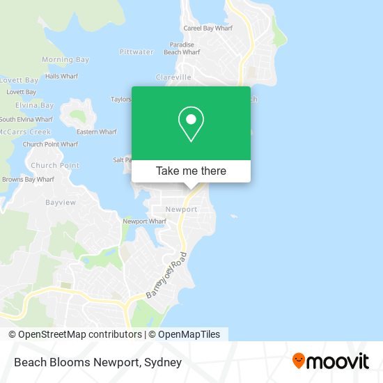 Beach Blooms Newport map