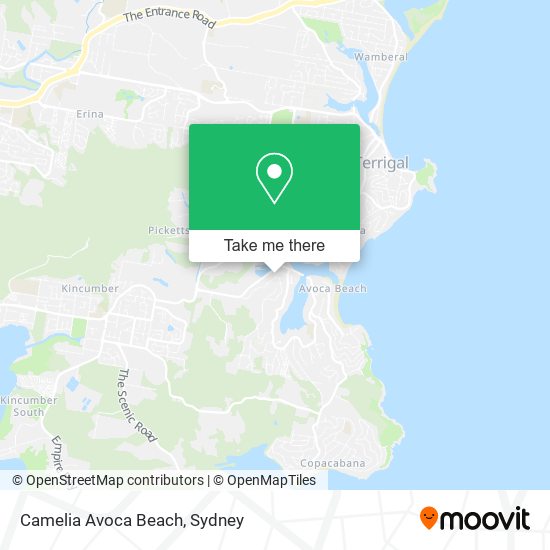 Mapa Camelia Avoca Beach