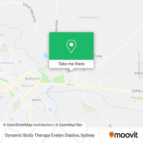 Dynamic Body Therapy Evelyn Dasilva map