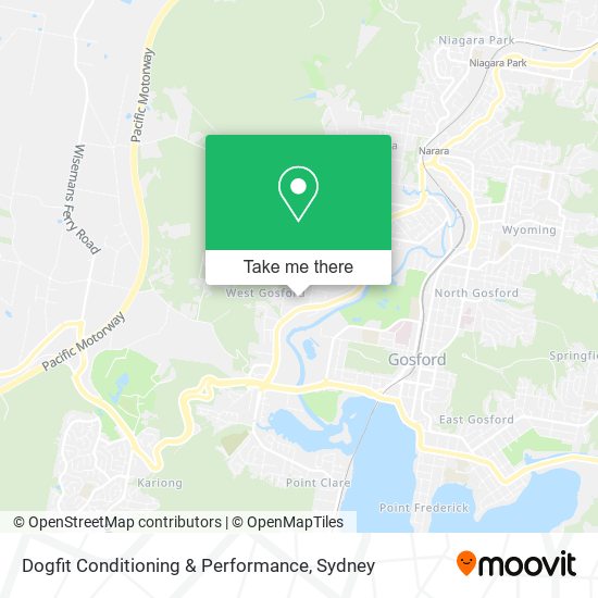 Dogfit Conditioning & Performance map