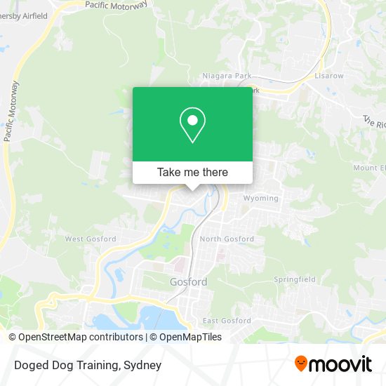 Mapa Doged Dog Training