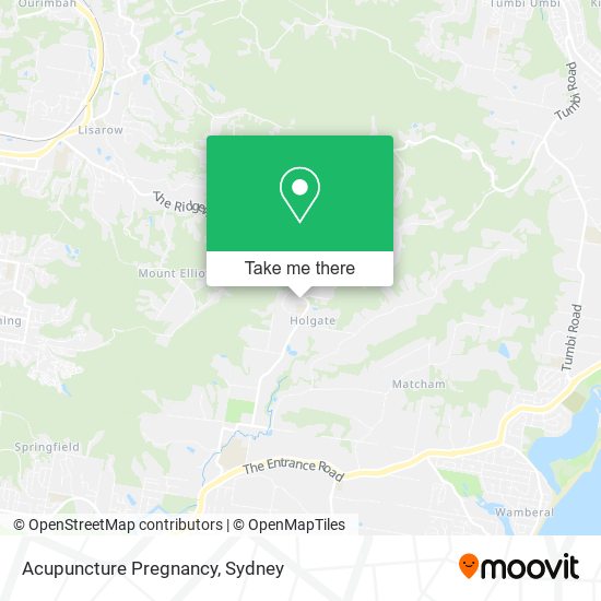 Mapa Acupuncture Pregnancy