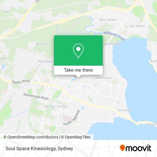 Soul Space Kinesiology map