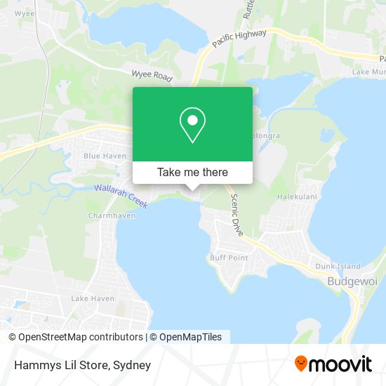 Hammys Lil Store map