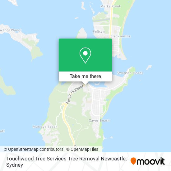 Touchwood Tree Services Tree Removal Newcastle map