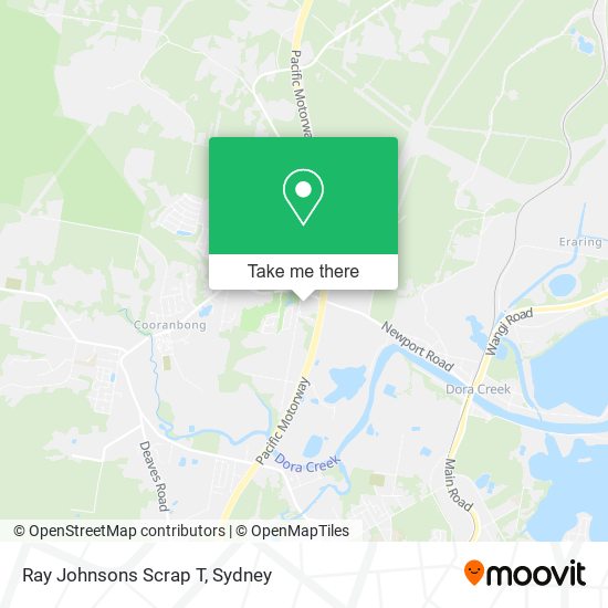 Ray Johnsons Scrap T map