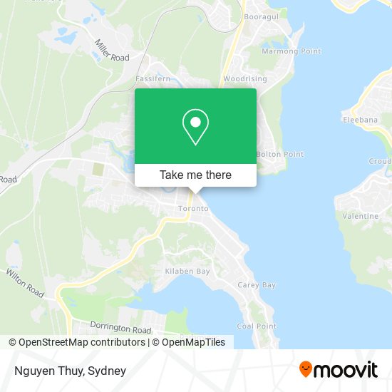 Mapa Nguyen Thuy