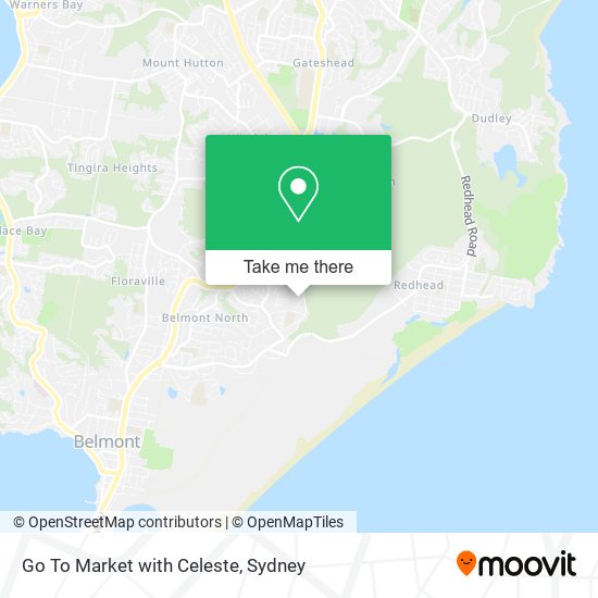 Go To Market with Celeste map