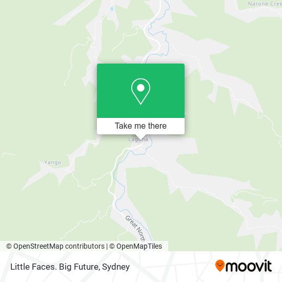 Little Faces. Big Future map