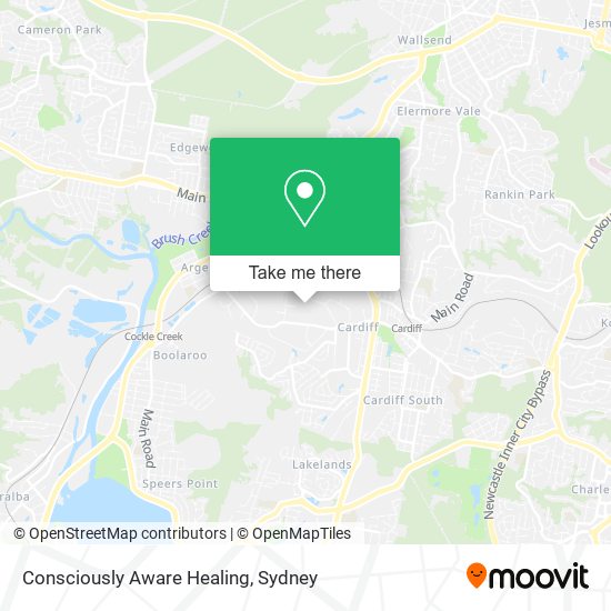 Consciously Aware Healing map