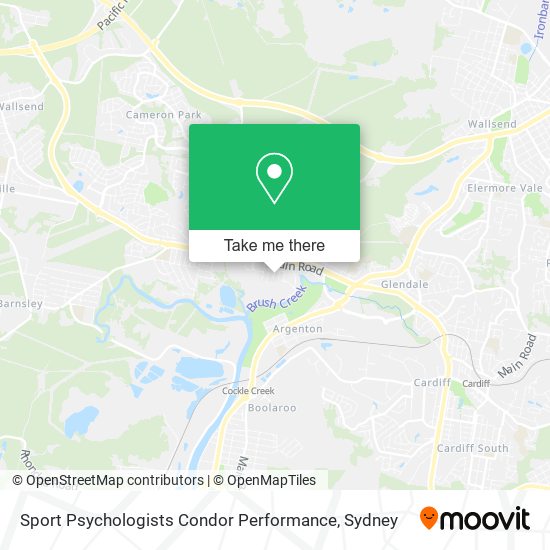 Sport Psychologists Condor Performance map