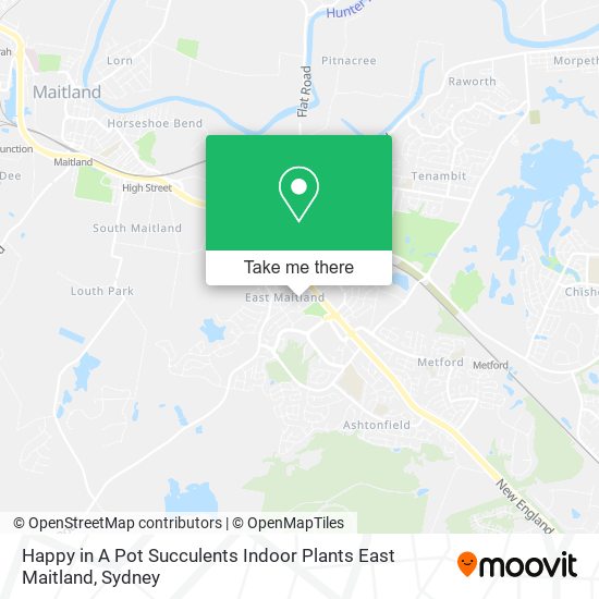 Mapa Happy in A Pot Succulents Indoor Plants East Maitland