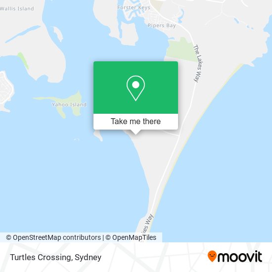 Turtles Crossing map