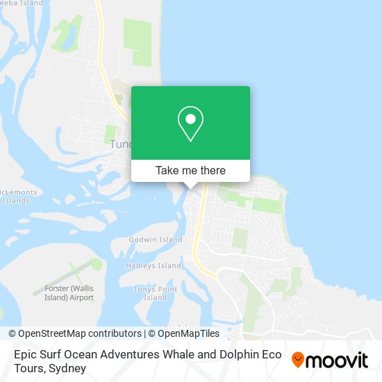 Epic Surf Ocean Adventures Whale and Dolphin Eco Tours map