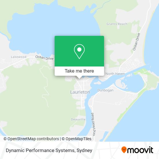 Dynamic Performance Systems map
