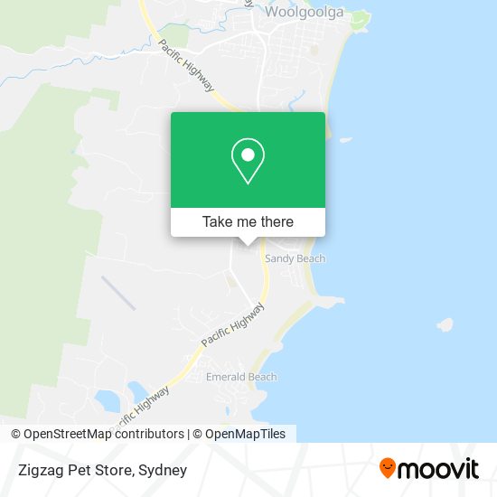 Zigzag Pet Store map