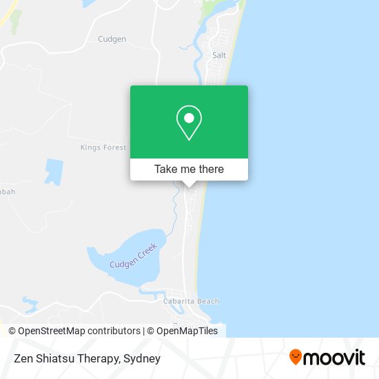 Zen Shiatsu Therapy map