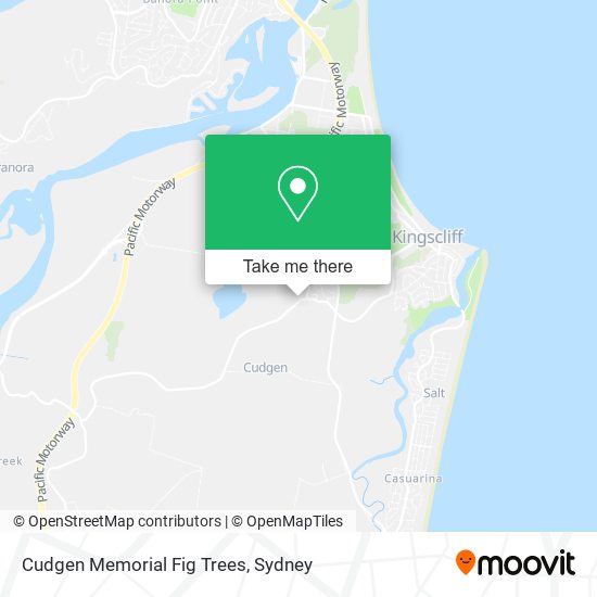 Cudgen Memorial Fig Trees map
