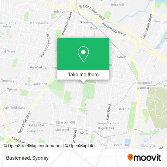 Basicneed map