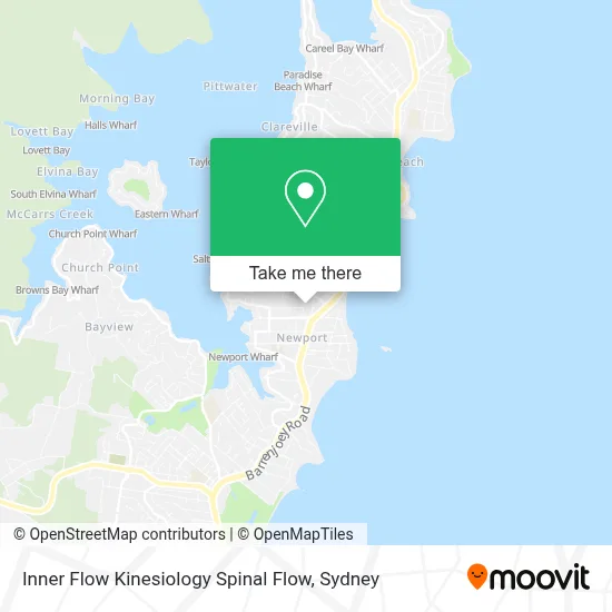 Mapa Inner Flow Kinesiology Spinal Flow