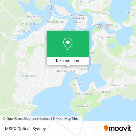 MSRX Optical map