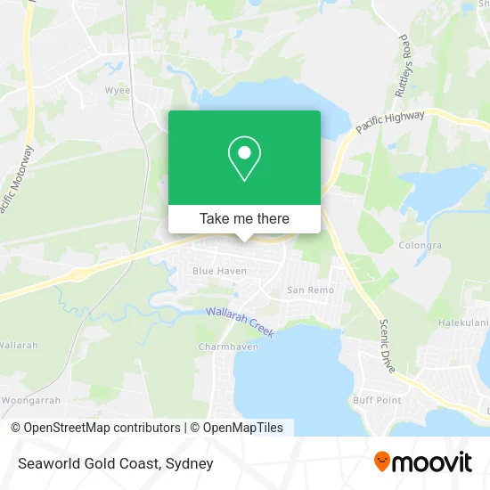 How to Get to Seaworld Gold Coast - 276619772.webp