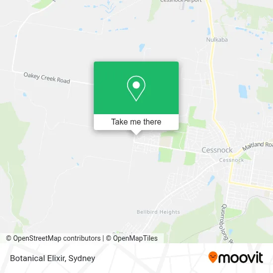 Mapa Botanical Elixir