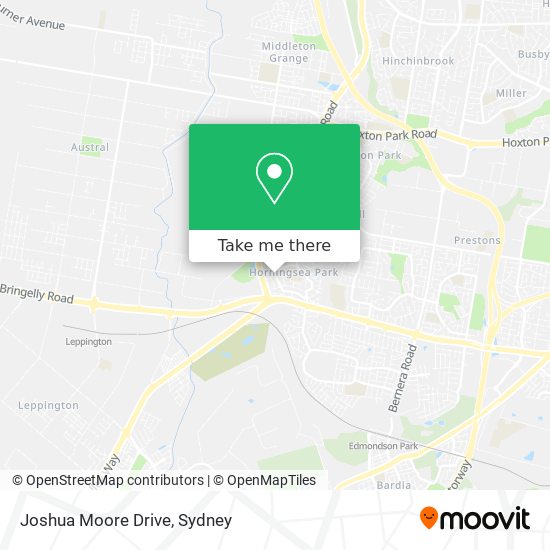 Mapa Joshua Moore Drive