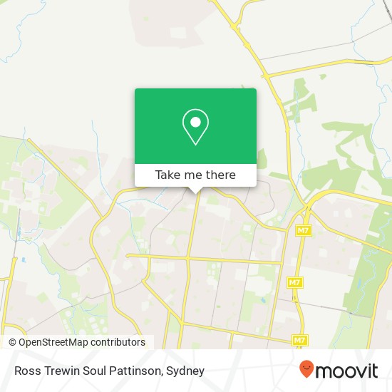 Ross Trewin Soul Pattinson, 20 Carlisle Ave Bidwill NSW 2770 map