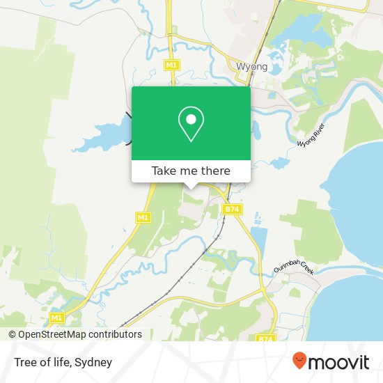 Tree of life, Tuggerah NSW 2259 map