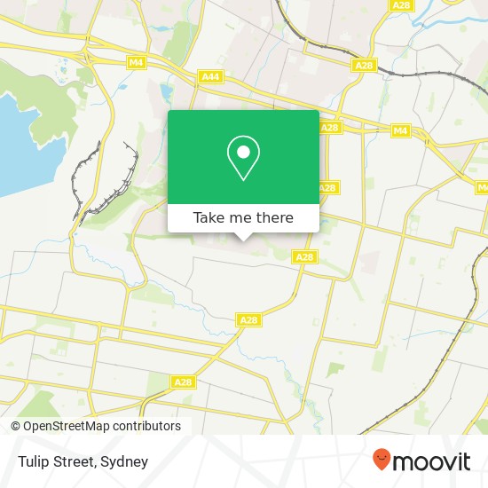 Tulip Street map
