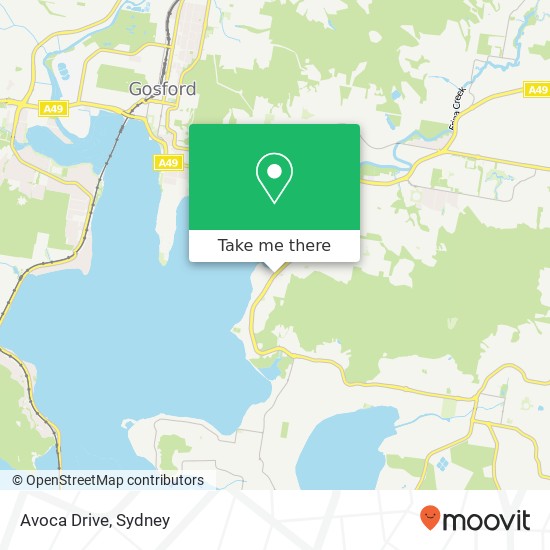 Avoca Drive map