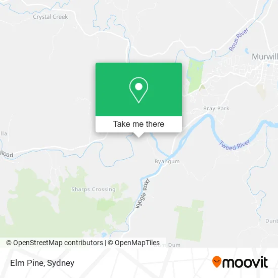 Elm Pine map