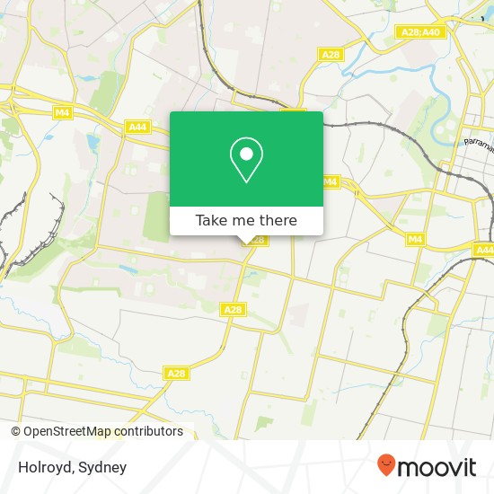 Holroyd map