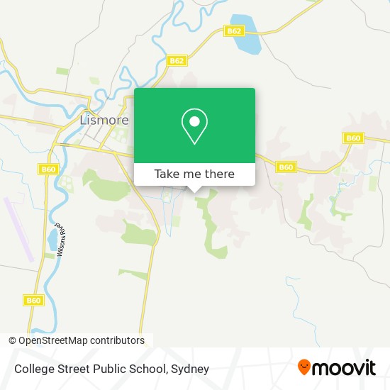 College Street Public School map